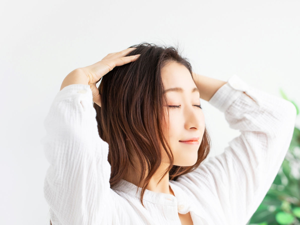 ソース画像を表示